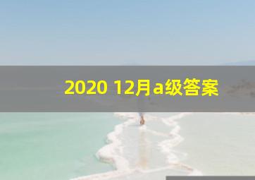 2020 12月a级答案